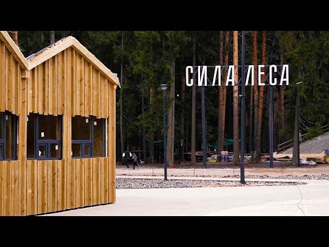 Видео: Сила леса г.Воткинск