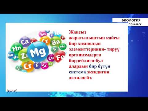 Видео: 10 класс - КГ - Биология - №3 - Клетканын химиялык курамы