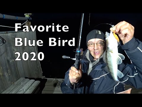 Видео: ТЕСТ СПИННИГА FAVORITE Blue Bird 2020. ПЛЮСЫ И МИНУСЫ.