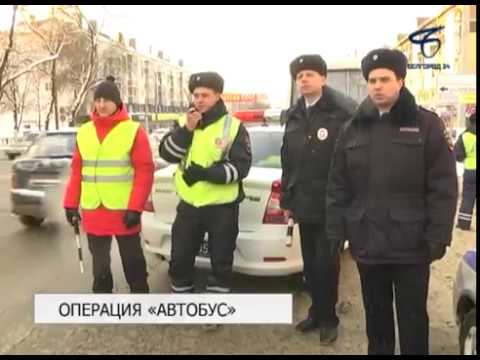 Видео: В Белгородской области стартовало оперативно-профилактическое мероприятие «Автобус»