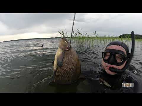 Видео: 2021 №10 ОПЯТЬ ПОДВЕЛО РУЖЬЁ