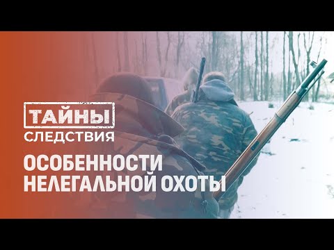 Видео: Браконьерство под видом хобби: история нелегальной охоты в Витебской области. Тайны следствия