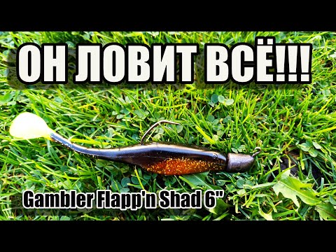 Видео: Слаг на судака и не только |  Этот силикон ловит всё!