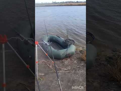 Видео: Густера,Тарань. Рыбалка з братом.#рыбалка #рыбалканафидер #fishing #рыба #car #тарань #cartoon 