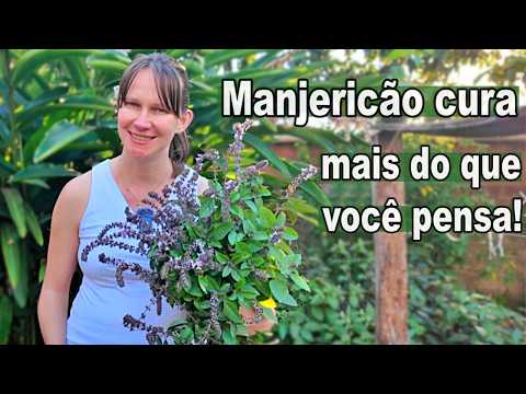 Видео: Целебная сила базилика, о которой вам никогда не рассказывали