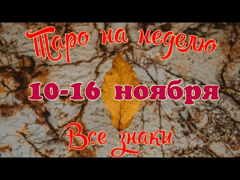 Видео: Таро-прогноз🎀 на неделю с 10 по 16 ноября🔥Тайм- код в описании🦢