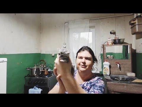 Видео: Новости шокируют но надо двигаться в перед 