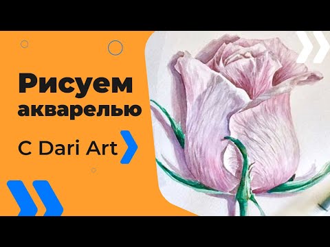 Видео: Подробный видео урок по акварели для начинающих! Рисуем розу! #Dari_Art