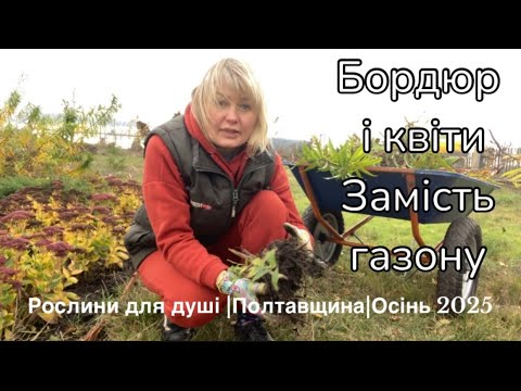Видео: 1 листопада у саду :ще трохи краси й тепла//Поділ флокса