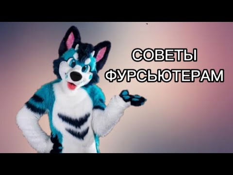 Видео: 5 СОВЕТОВ ФУРСЬЮТЕРАМ✨🐾