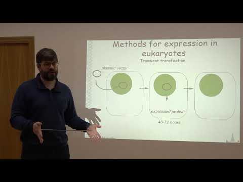 Видео: Сергиев П. В. - Методы молекулярной биологии - 8. Работа с геномом