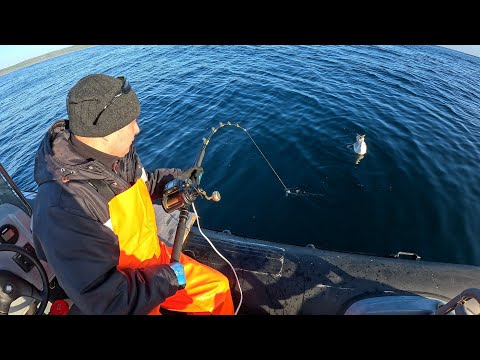 Видео: Летняя рыбалка в Баренцевом море / Summer fishing in the Barents Sea