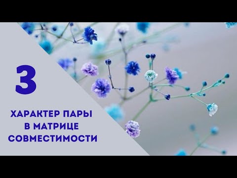 Видео: Совместимость.3 энергия в характере пары.Матрица судьбы.