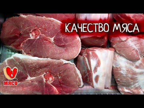 Видео: Качество мяса