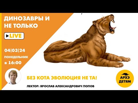 Видео: Занятие "Без кота эволюция не та!" кружка "Динозавры и не только" с Ярославом Поповым