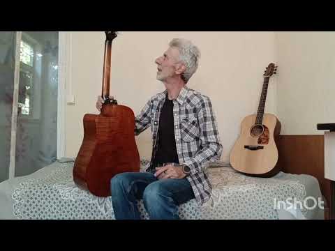 Видео: Для начинающих: AION F-20 , честный обзор. (Русская гитара, руками Китайцев.)