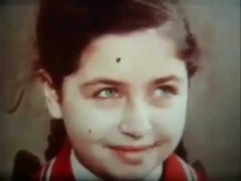 Видео: Физика в биологии: "Биофизика зрительного ощущения"