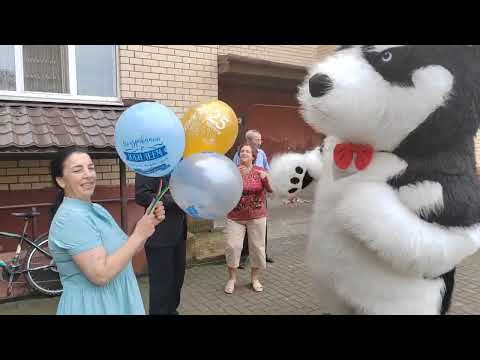 Видео: Мой День рождения, танцы с хаски ❤️