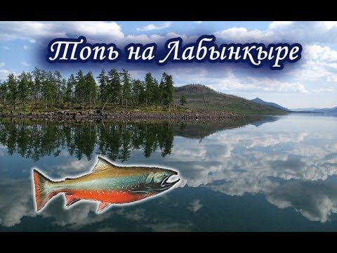 Видео: Топь. Русская Рыбалка.