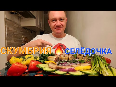 Видео: МУКБАНГ. ОБЖОР. СКУМБРИЯ ХОЛОДНОГО КОПЧЕНИЯ, СЕЛЁДОЧКА, ЛУЧОК, ПОМИДОР, КАРТОХА.