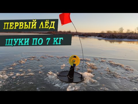 Видео: ПЕРВЫЙ ЛЁД 2023-24!!! ЩУКИ ПО СЕМЬ КИЛО РВУТ ЛЕСКИ И ЛОМАЮТ ЖЕРЛИЦЫ!Ночевали в диком доме!
