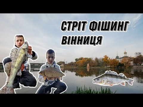 Видео: РИБАЛКА В ВІННИЦІ. ЩО МОЖНА СПІЙМАТИ ЗА ТИЖДЕНЬ СТРІТФІШИНГУ ?