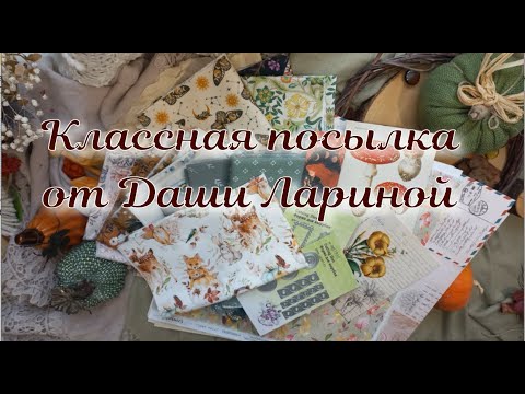 Видео: Обзор посылки от Даши Лариной