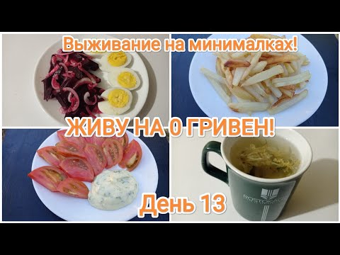 Видео: ЖИВУ НА 0 ГРИВЕН! День 13