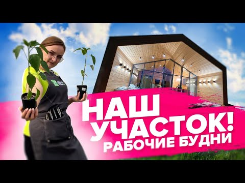 Видео: ОБЗОР НА НАШ УЧАСТОК Семена Алтая! МАЙ 2023