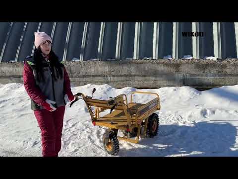 Видео: Обзор мототележки LMY -500S GY