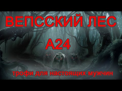 Видео: 22.09.2023 А24. Вепсский лес. Трофи для НАСТОЯЩИХ МУЖЧИН