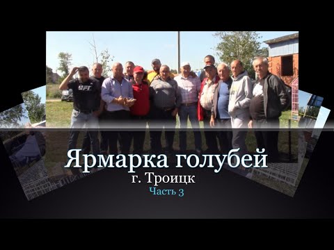 Видео: Ярмарка голубей/г. Троицк. 12 августа 2023г - Часть 3