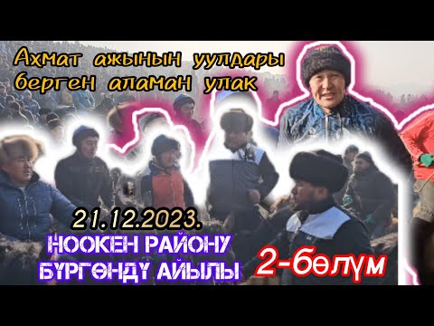 Видео: Ахмат ажынын уулдары берген аламан улак өтө күчтүү болду. 2-бөлүм