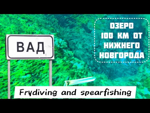 Видео: Озеро ВАД. Фридайвинг и Подводная охота