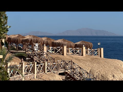 Видео: Египет в январе|Обзор на Safir Sharm Waterfalls Resort|Подводный мир Красного моря