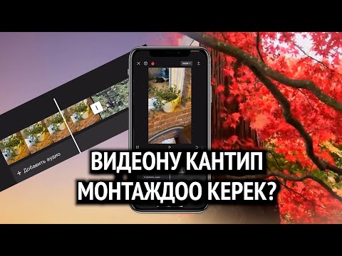 Видео: 2-сабак: Видеону кантип монтаждоо керек?