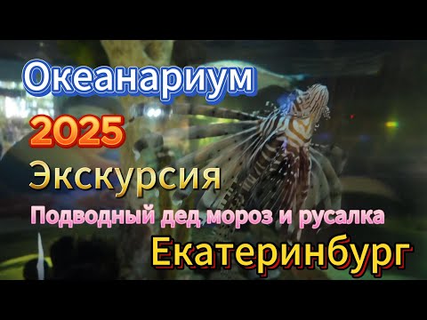 Видео: Екатеринбург 2025. Океанариум на Щербакова 2. Экскурсия в подводный мир.