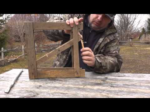 Видео: Проскок Моисеева