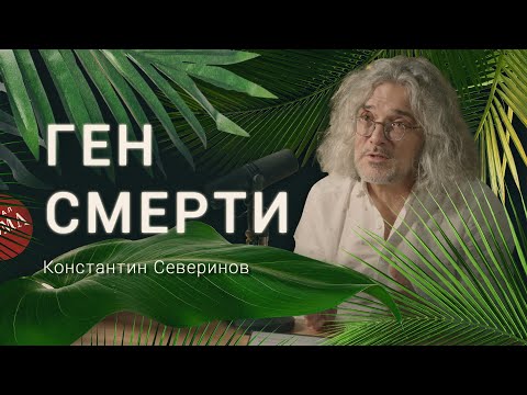 Видео: Ген смерти. Ген греха. Ген красоты. Они существуют? Генетик Константин Северинов