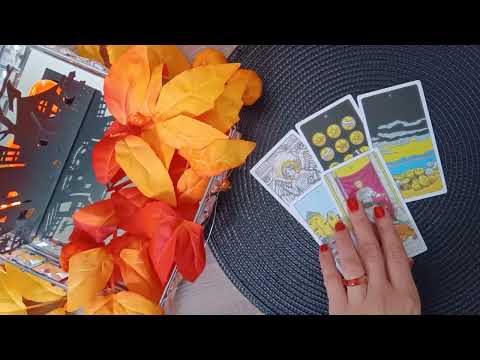 Видео: От какво имате нужда сега?