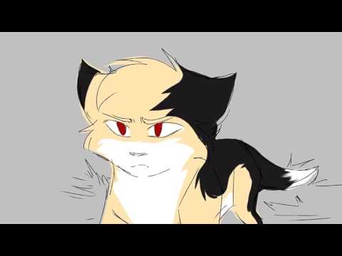 Видео: Коты Воители:Skillet,Rise:For Polina Yar:--------Вас 200😮