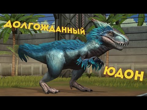 Видео: МАЛЕНЬКАЯ ДЕТСКАЯ МЕЧТА - ЮДОН