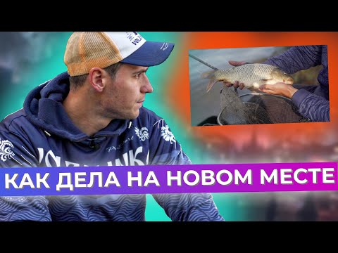 Видео: Фидер на реке. Нашли новое место.