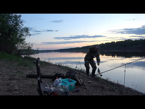 Видео: Рыбалка на донку с берега 2020. Река Вычегда.