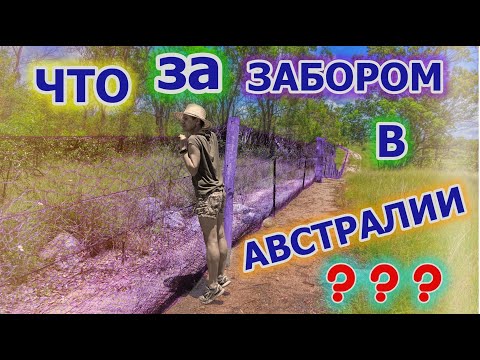 Видео: Мы побывали за ЗАБОРОМ в Австралии 🤖👣 ! ТАЙНЫ АВСТРАЛИИ 👽