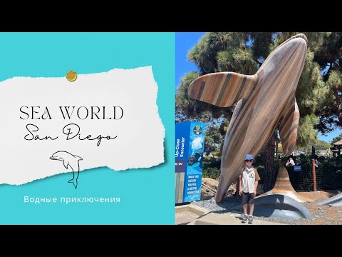 Видео: SeaWorld San Diego: парк развлечений и новых открытий