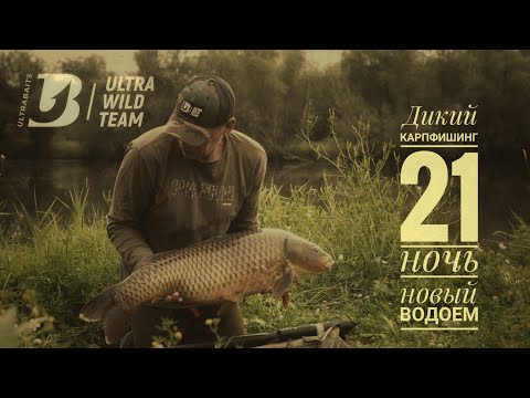 Видео: ⭐ WILD CARP⭐ Новый дикий водоем 💫 Ловля карпа на илу в густой траве💫