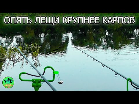 Видео: НЕОЖИДАННЫЙ УЛОВ на РЕКЕ — СМОТРИТЕ САМИ! МОЩНЫЕ ПОКЛЕВКИ ЛЕЩА. Рыбалка на фидер.