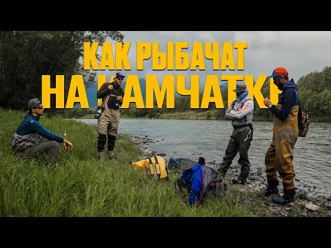 Видео: рыбалка на Камчатке. Микижа на нахлыст, много рыбы и медведей