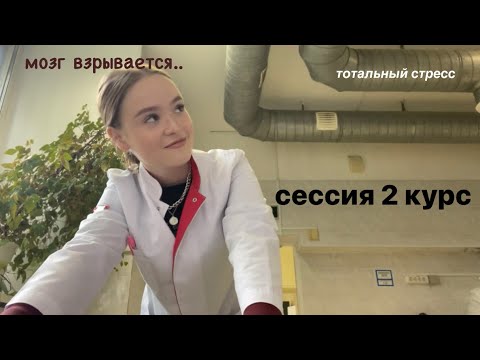 Видео: летняя сессия на 2 курсе: патан, микробиология, патфиз, проф стом